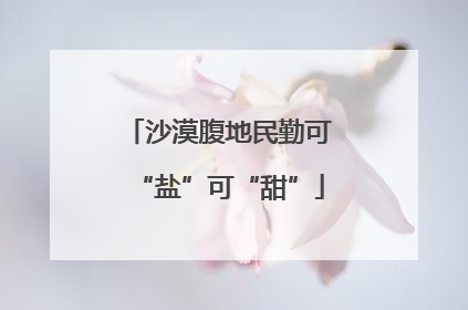 沙漠腹地民勤可“盐”可“甜”