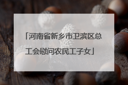 河南省新乡市卫滨区总工会慰问农民工子女