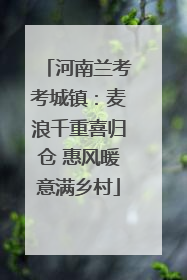 河南兰考考城镇：麦浪千重喜归仓 惠风暖意满乡村