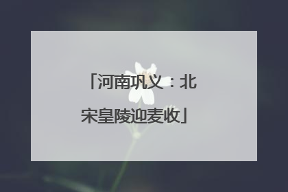 河南巩义：北宋皇陵迎麦收