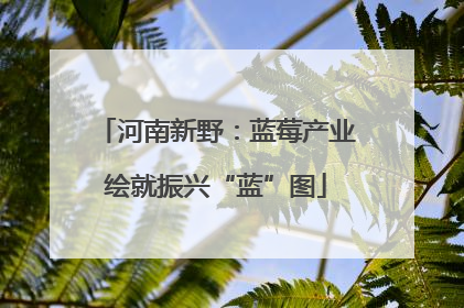 河南新野：蓝莓产业绘就振兴“蓝”图