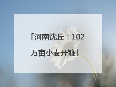 河南沈丘：102 万亩小麦开镰