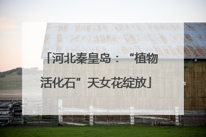 河北秦皇岛：“植物活化石”天女花绽放