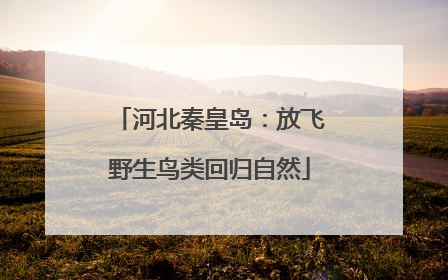 河北秦皇岛：放飞野生鸟类回归自然