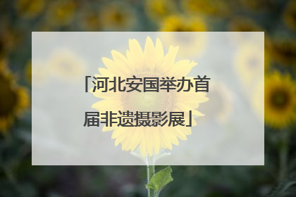 河北安国举办首届非遗摄影展