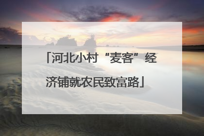 河北小村“麦客”经济铺就农民致富路