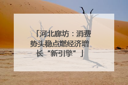 河北廊坊：消费势头稳点燃经济增长“新引擎”