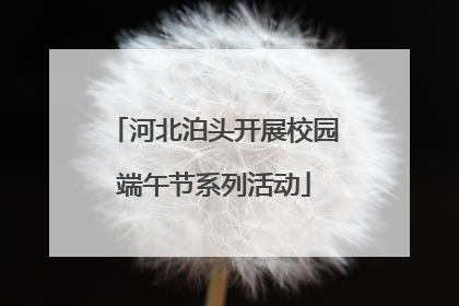 河北泊头开展校园端午节系列活动