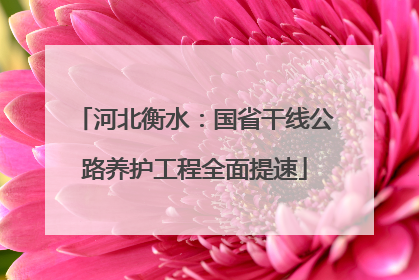 河北衡水：国省干线公路养护工程全面提速