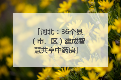 河北：36个县（市、区）建成智慧共享中药房