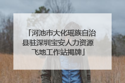 河池市大化瑶族自治县驻深圳宝安人力资源飞地工作站揭牌