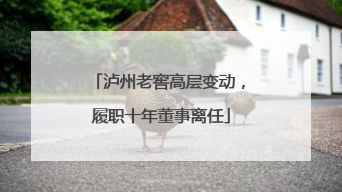 泸州老窖高层变动，履职十年董事离任