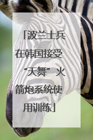 波兰士兵在韩国接受“天舞”火箭炮系统使用训练