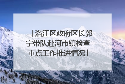 洛江区政府区长郭宁带队赴河市镇检查重点工作推进情况
