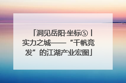 洞见岳阳·坐标⑤丨实力之城——“千帆竞发”的江湖产业宏图