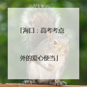 海口：高考考点外的爱心便当