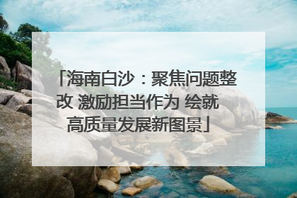 海南白沙：聚焦问题整改 激励担当作为 绘就高质量发展新图景