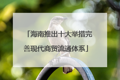 海南推出十大举措完善现代商贸流通体系