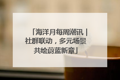 海洋月每周潮讯｜社群联动，多元场景共绘蔚蓝新章