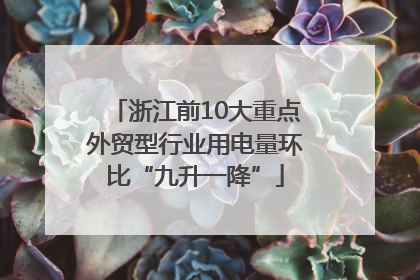 浙江前10大重点外贸型行业用电量环比“九升一降”
