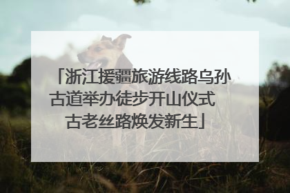 浙江援疆旅游线路乌孙古道举办徒步开山仪式 古老丝路焕发新生