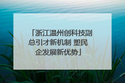 浙江温州创科技副总引才新机制 塑民企发展新优势