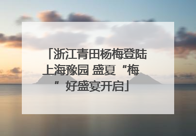 浙江青田杨梅登陆上海豫园 盛夏“梅”好盛宴开启