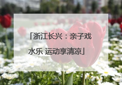 浙江长兴：亲子戏水乐 运动享清凉