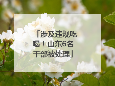 涉及违规吃喝！山东6名干部被处理