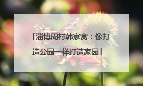 淄博周村韩家窝：像打造公园一样打造家园