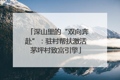 深山里的“双向奔赴”：驻村帮扶激活茅坪村致富引擎