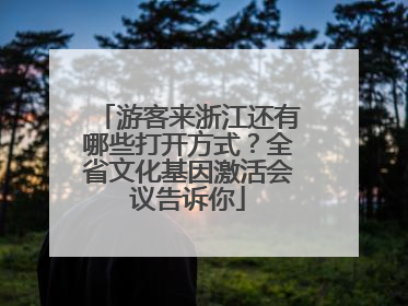 游客来浙江还有哪些打开方式？全省文化基因激活会议告诉你