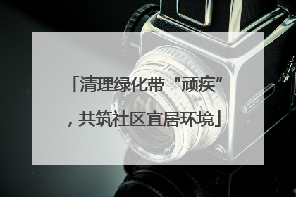 清理绿化带“顽疾”，共筑社区宜居环境