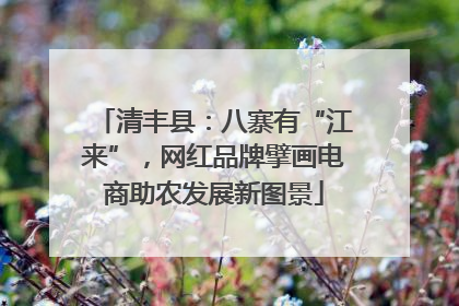 清丰县：八寨有“江来”，网红品牌擘画电商助农发展新图景