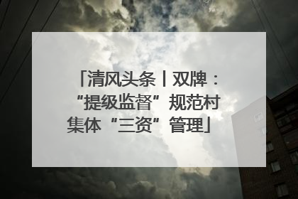 清风头条丨双牌：“提级监督”规范村集体“三资”管理