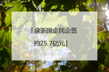 渝浙国企民企签约25.7亿元
