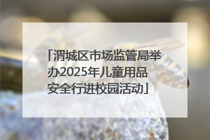 渭城区市场监管局举办2025年儿童用品安全行进校园活动