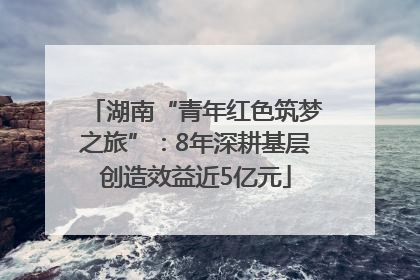 湖南“青年红色筑梦之旅”：8年深耕基层创造效益近5亿元
