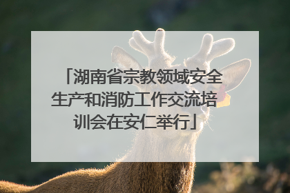 湖南省宗教领域安全生产和消防工作交流培训会在安仁举行