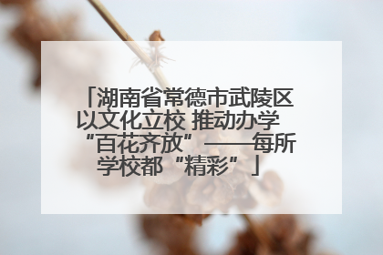 湖南省常德市武陵区以文化立校 推动办学“百花齐放”——每所学校都“精彩”