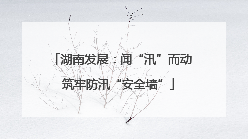 湖南发展：闻“汛”而动 筑牢防汛“安全墙”