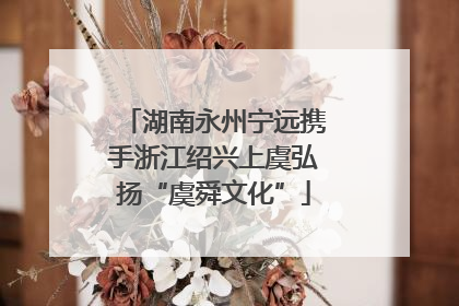 湖南永州宁远携手浙江绍兴上虞弘扬“虞舜文化”