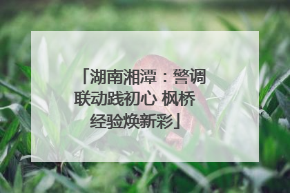 湖南湘潭：警调联动践初心 枫桥经验焕新彩