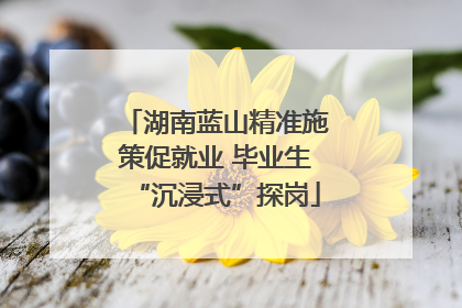 湖南蓝山精准施策促就业 毕业生“沉浸式”探岗