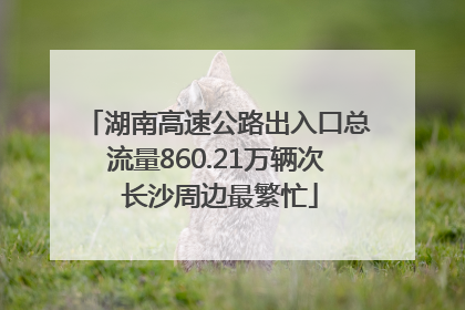 湖南高速公路出入口总流量860.21万辆次 长沙周边最繁忙