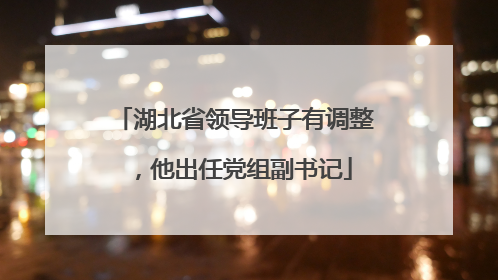 湖北省领导班子有调整，他出任党组副书记