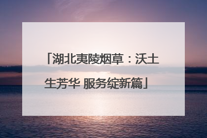 湖北夷陵烟草：沃土生芳华 服务绽新篇