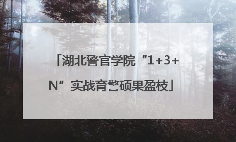 湖北警官学院“1+3+N”实战育警硕果盈枝