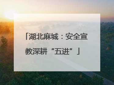 湖北麻城：安全宣教深耕“五进”