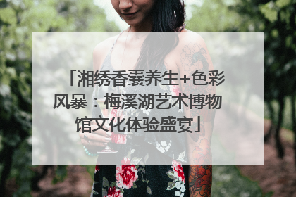 湘绣香囊养生+色彩风暴：梅溪湖艺术博物馆文化体验盛宴